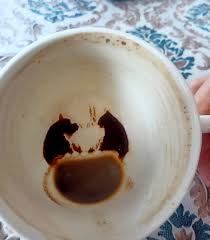 Having just lost my fur baby Tucker after 15 years, we went out to have a  drink, and this is what appeared in my expresso martini after a few sips  ♥️🐶.