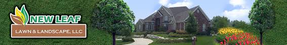 Maybe you would like to learn more about one of these? New Leaf Lawn Serving St Charles Florissant Mo Lawn Care Mowing Service