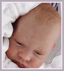 Peeky Levi by Bobbie Barker from CassiesCloset