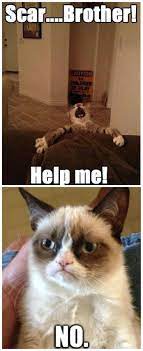 Lion King Vs Grumpy Cat Funny Grumpy Cat Memes Christmas Cat Memes Grumpy Cat Quotes