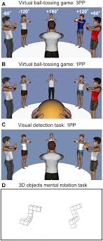 Visual stimuli and tasks. a Example of a visual scene for the 3PP... |  Download Scientific Diagram