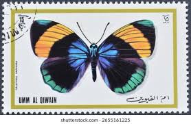 Image result for Blue 1976 UMM