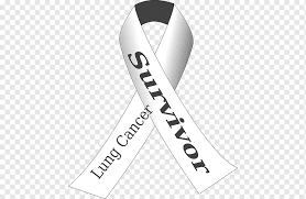 The meaning of the awareness ribbons are based on their color or color combination. Awareness Ribbon Breast Cancer Lung Cancer Ribbon Ribbon White Text Png Pngwing