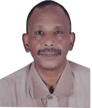 جامعة المغتربين