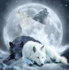 In groups, wolves howl to motivate and rally one another to move or to hunt.2. Diamond Painting Wolves Howling At The Moon Usa Figuredart