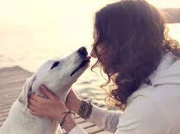 Or do you just want to do everything you can to make your dog the happiest in the world? How To Make Your Dog Feel Loved The Times Of India