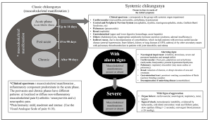Scielo Brasil Classification Of Chikungunya Cases A Proposal Classification Of Chikungunya Cases A Proposal
