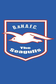 May 21, 2021 · tristan is a winger for hereford fc and twaine plays for bradford town, while tremaine is a chef. Brighton Hove Albion Wallpaper Download To Your Mobile From Phoneky