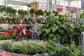 Magasin pour la maison et le jardin à frauenfeld. Blumengarten Kung Frische Pur