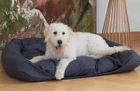 Beste entspannend instrumentalmusik, schlaf, tiefer meditation und. Hunde Katzen Schlafplatze