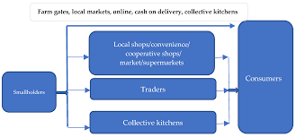 The asda groceries website offers customers 10 categories of food to choose from to ensure an easy shopping process. Sustainability Free Full Text Can A Short Food Supply Chain Create Sustainable Benefits For Small Farmers In Developing Countries An Exploratory Study Of Vietnam Html