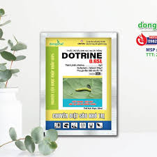 Dotrine 0.6SL