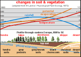 Soil Geology For Upper Grades By Dr J Floor Anthoni 2000 Www Seafriends Org Nz Enviro Soil Geosoil Htm Soil Water Table Geology
