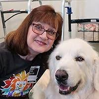 Pluck: Lessons We Learned for Improving Healthcare and the World by Alfred  Sadler