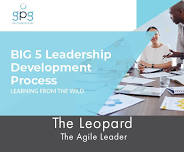 The Leopard – Agile Leader
