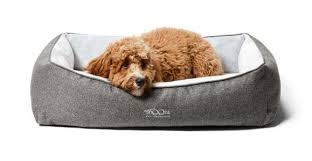 Any dog size and age. The Best Dog Beds In Australia For 2021 Home Muse