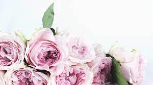We honour the memory of saint valentine, the martyr which has suffered for his faith in christ in rome in 269 ad under the rule of emperor claudius and has never forsaken. Where To Buy Flowers Online For Valentine S Day With Delivery