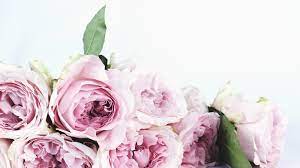Less expensive flowers are available as inexpensively as a dollar a bunch at places like dollar tree, dollar general, everythings a dollar and like stores. Where To Buy Flowers Online For Valentine S Day With Delivery