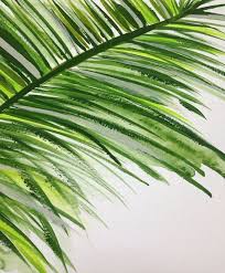 Check spelling or type a new query. Abstract Palm Tree Leaf Painting 9x12 Palm Trees Painting Palm Tree Drawing Painted Leaves