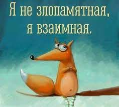 Прикольные статусы в картинках - Афоризмо.ru