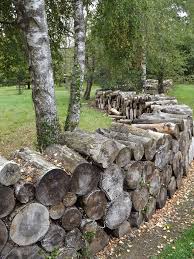 Decouvrez Des Exemples De Realisations Faites A Partir De Troncs Ou De Branches D Arbres Mobilier De Jardin Alle Cloture Jardin Jardins En Bois Idees Jardin