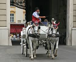 Check spelling or type a new query. File Wien Fiaker 26 Michaelerplatz 2009 Gje Jpg Wikipedia