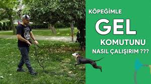 yavru kopeklerde isirma youtube