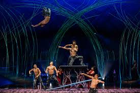 Tickets Amaluna In San Francisco At Under The Big Top