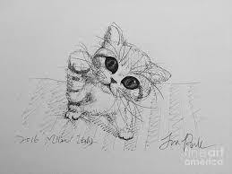 The cat cat drawing how to draw cat youtube. Playful Baby Cat Drawing By Jeong Won Park