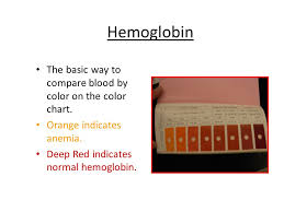 Biology 161 Blood Lab Ppt Download