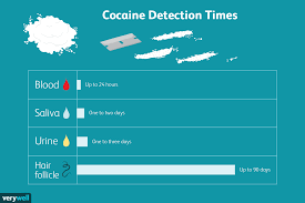 How Long Does Cocaine Stay In Your System