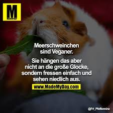 Pin Auf Alles Andere Wofur Ich Keine Lust Habe Eine Pinnwand Zu Erstellen