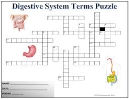These science crossword puzzles cover science vocabulary, and the solar system. The Digestive System Science Crossword Puzzle Activity Worksheet