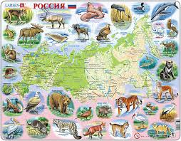Rund 40 prozent der fläche russlands ist von gebirgen überzogen. Larsen Physische Karte Russland Mit Tieren