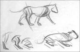 Dog front leg by cobravenom on deviantart. Draw Animal Limbs Drawing Life Joshua Nava Arts