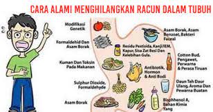 Jangan buang duit dengan alasan hilangkan punca toksin dalam badan! 5 Cara Mudah Menghilangkan Racun Dalam Tubuh Kaskus