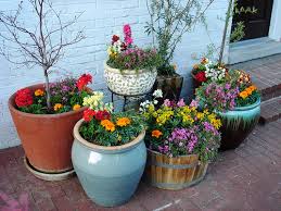 Vietnam flower shop, vietnam flower delivery, send flowers to vietnam, florist shop online in vietnam, flowers delivered hanoi, saigon ho chi minh city, hue, da nang, hai phong, nha trang. Vietnam Tall Outdoor Ceramic Pots Vietnam Outdoor Ceramic Pots Expoter
