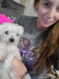 For those of you who may remember Herbie. No special reason for the update,  but these are recent photos of him. So according to Herbie's passport he is  now 9 years old.