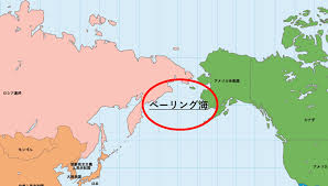 #セキュリティ 情報発信サイト「wizsafe security signal」に「wizsafe security signal 2021年5月 観測レポート」を掲載しました。 å°ãƒã‚¿ ãƒ™ãƒ¼ãƒªãƒ³ã‚°æµ·ã®ã‚«ãƒ‹æ¼ éŽé…·ãªã‚¢ãƒ¡ãƒªã‚«ãƒ³ãƒ‰ãƒªãƒ¼ãƒ  ã‚µãƒ ãƒ­ã‚°