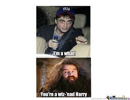 Share the best gifs now >>>. Your A Wizard Harry By Declanduff Meme Center