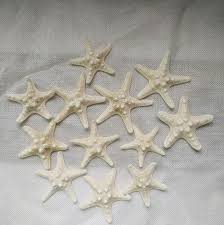 You can choose a nautical theme for your bathroom to compliment your bathroom decor. 10pcs 4 7cm White Natural Air Dried Starfish Sea Star Beach Themed Wedding Table Decoration Christmas Party Favors Sea Shells Shells Starfishes Aliexpress