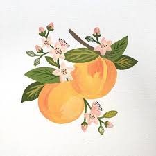 Peaches Peaches Gouache Gouachepainting Painteveryday Createsomethingeveryday Abmathome Botanicalillustrat Peach Art Sketchbook Art Journal Art