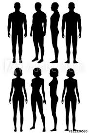 New users enjoy 60% off. Human Body Anatomy Front Back Side View Vector Woman And Man Illustration Stock Vektorgrafik Adobe Stock