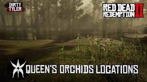 We did not find results for: All Queen S Orchid Locations Red Dead Redemption 2 Rdr2 Youtube