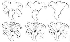 1001 Images De Dessin De Fleur Pour Apprendre A Dessiner Dessin De Fleur Dessin De Fleur Simple Dessin Fleur