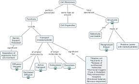 Ab Transport Concept Map Cell Membrane Transport Cell Membrane Cell Membrane Structure