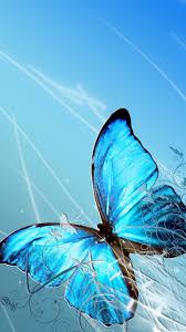 Check spelling or type a new query. Blue Butterfly Wallpaper Posted By Michelle Johnson
