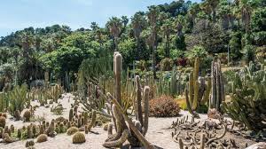 El jardín botánico de barcelona se construyó para darle al público de vuelta un espacio verde propio. Jardin Botanico De Barcelona Travel Guidebook Must Visit Attractions In Barcelona Jardin Botanico De Barcelona Nearby Recommendation Trip Com