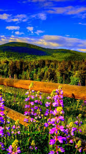 Maybe you would like to learn more about one of these? Spring Nature Iphone Wallpapers