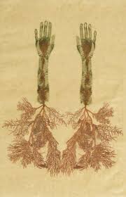 Kiki Smith Artist Inspiration Art